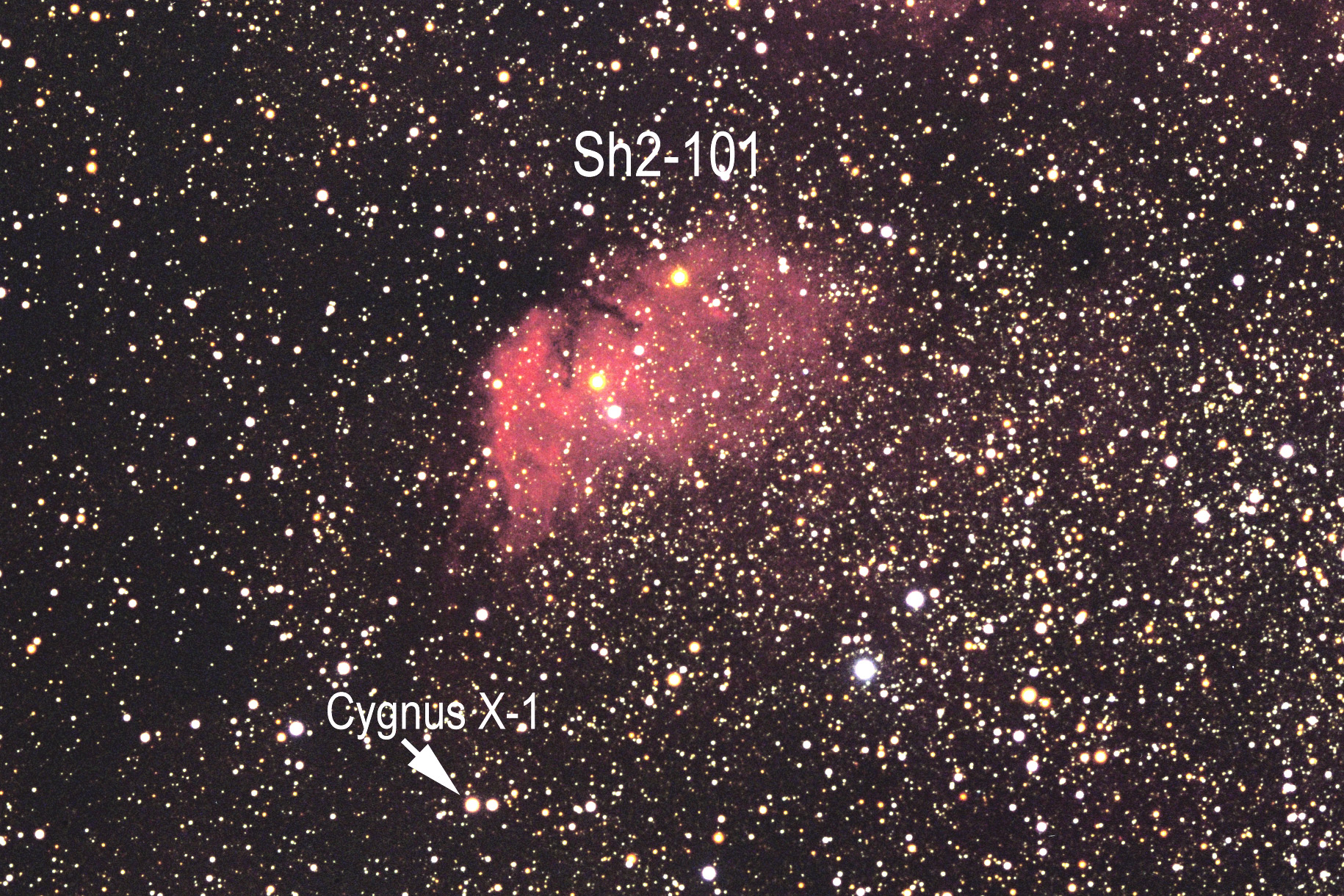 Cygnus X 1 And Sharpless 101 sh2 101 Cygnus X 1 And Sharpless 101 sh2 101