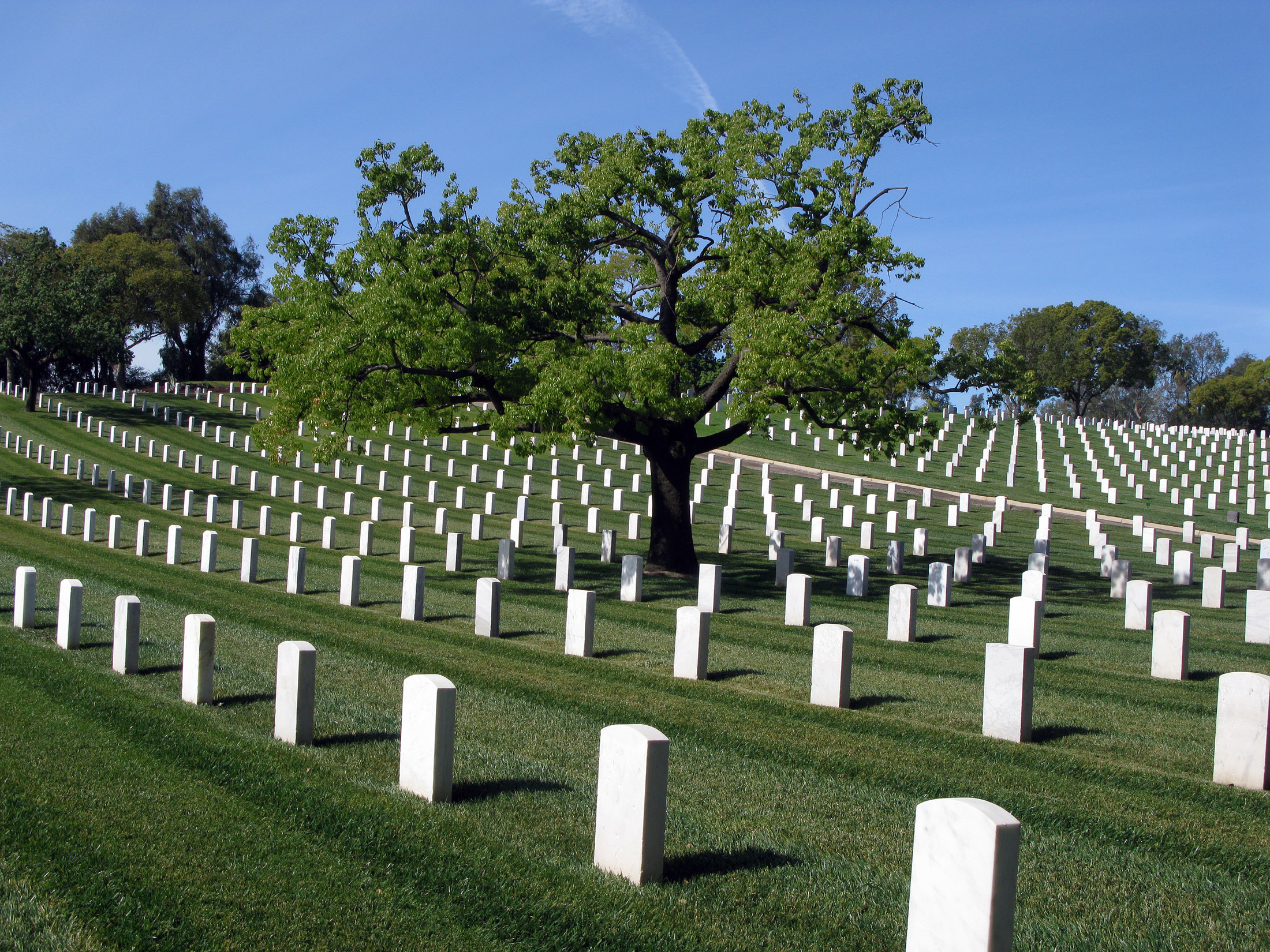 Los Angeles National Cemetery. 